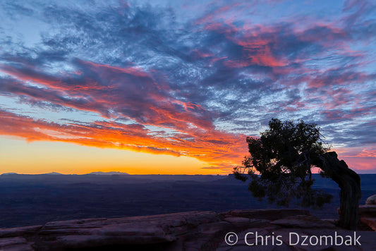 Canyonlands Sunset